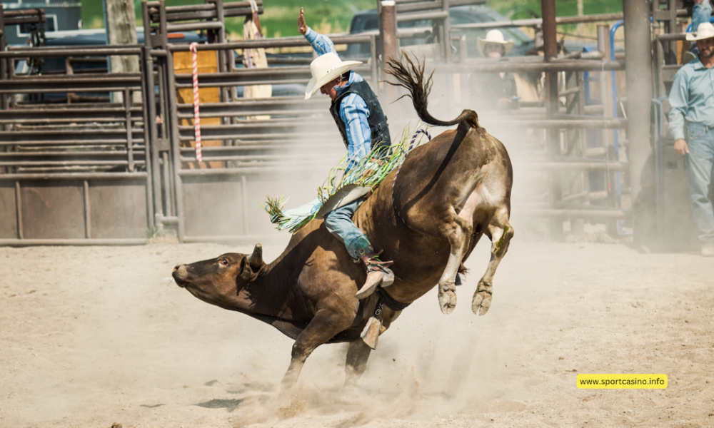 Exciting Basics: Rules of Bull Riding Explained